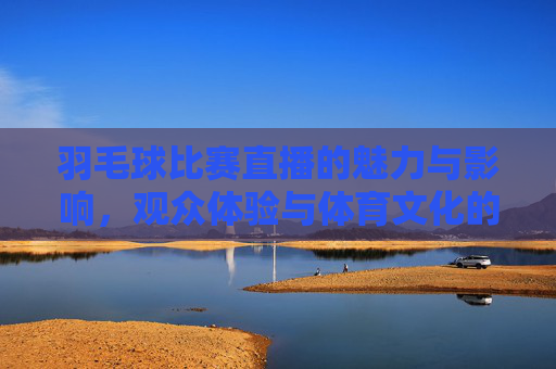 羽毛球比赛直播的魅力与影响,观众体验与体育文化的传播 羽毛球比赛直播的魅力与影响,观众体验与体育文化的传播