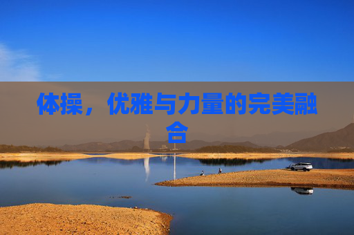 体操，优雅与力量的完美融合
