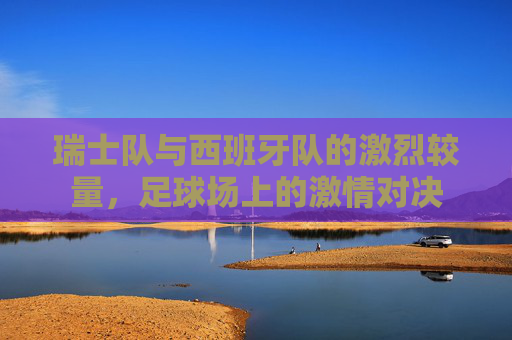 瑞士队与西班牙队的激烈较量，足球场上的激情对决
