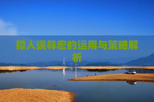猎人误导宏的运用与策略解析