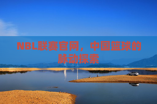 NBL联赛官网，中国篮球的脉动探索