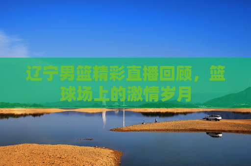 辽宁男篮精彩直播回顾，篮球场上的激情岁月
