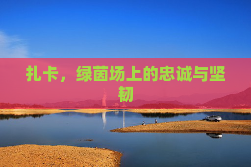 扎卡，绿茵场上的忠诚与坚韧