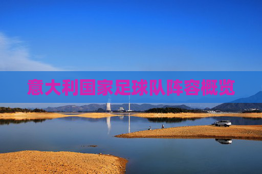 意大利国家足球队阵容概览 意大利国家足球队阵容概览