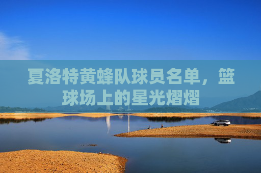 夏洛特黄蜂队球员名单，篮球场上的星光熠熠
