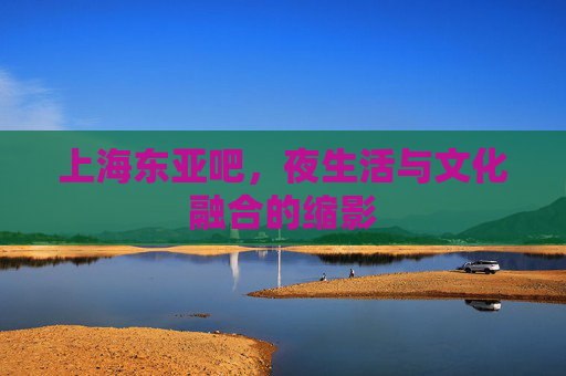 上海东亚吧，夜生活与文化融合的缩影