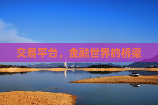 交易平台，金融世界的桥梁
