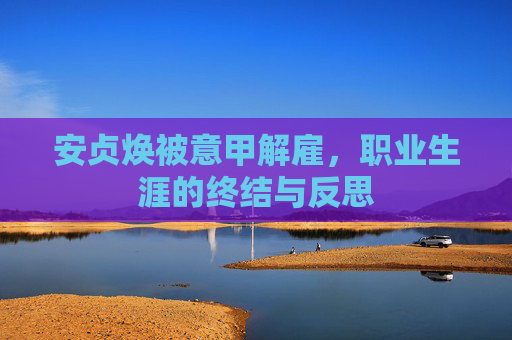 安贞焕被意甲解雇，职业生涯的终结与反思