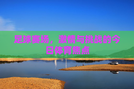足球赛场，激情与挑战的今日体育焦点