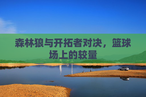 森林狼与开拓者对决，篮球场上的较量