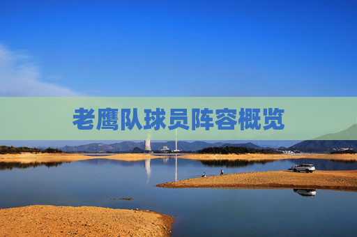 老鹰队球员阵容概览