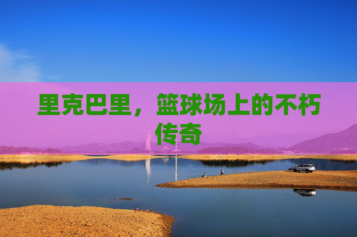 里克巴里，篮球场上的不朽传奇