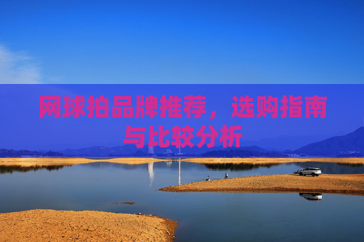网球拍品牌推荐，选购指南与比较分析