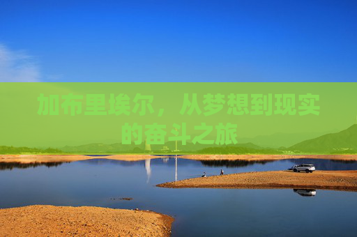 加布里埃尔，从梦想到现实的奋斗之旅