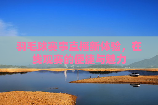 羽毛球赛事直播新体验，在线观赛的便捷与魅力