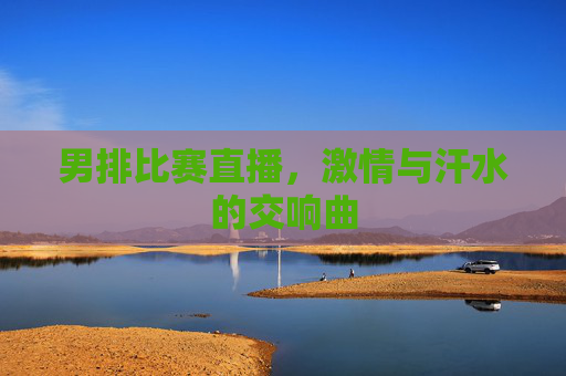 男排比赛直播，激情与汗水的交响曲