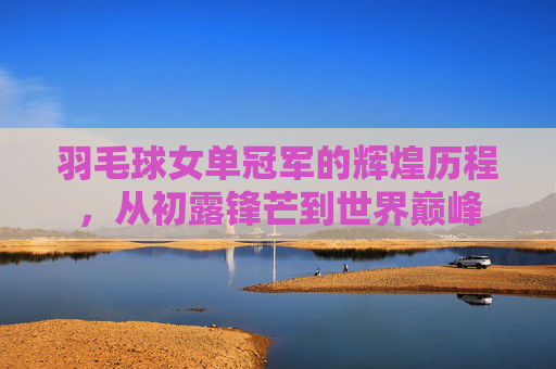 羽毛球女单冠军的辉煌历程，从初露锋芒到世界巅峰
