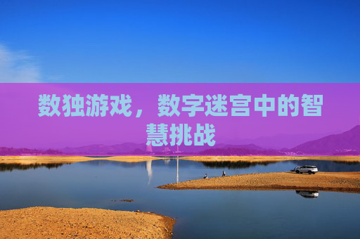 数独游戏，数字迷宫中的智慧挑战