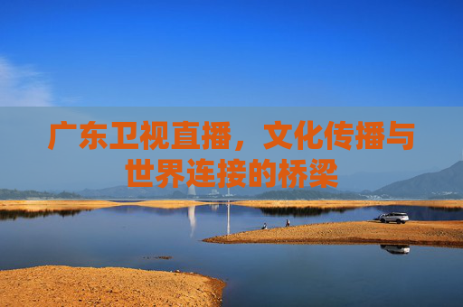 广东卫视直播，文化传播与世界连接的桥梁