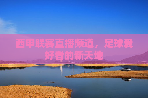 西甲联赛直播频道，足球爱好者的新天地