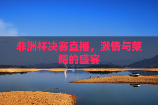 非洲杯决赛直播，激情与荣耀的盛宴
