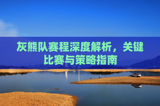 灰熊队赛程深度解析，关键比赛与策略指南
