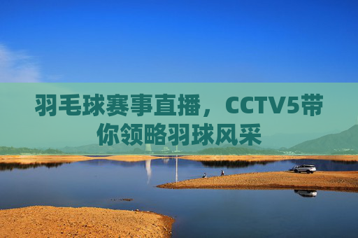 羽毛球赛事直播，CCTV5带你领略羽球风采