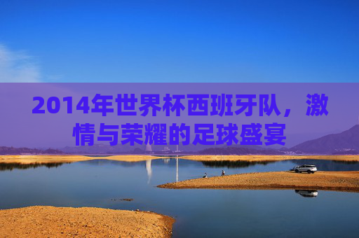 2014年世界杯西班牙队，激情与荣耀的足球盛宴