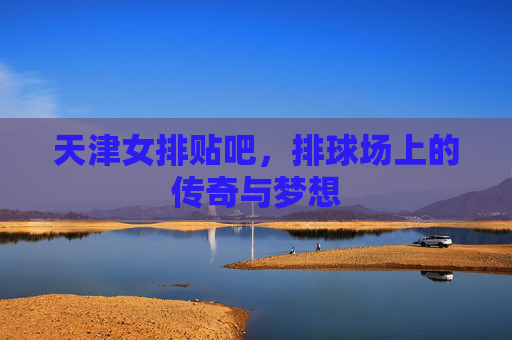天津女排贴吧，排球场上的传奇与梦想