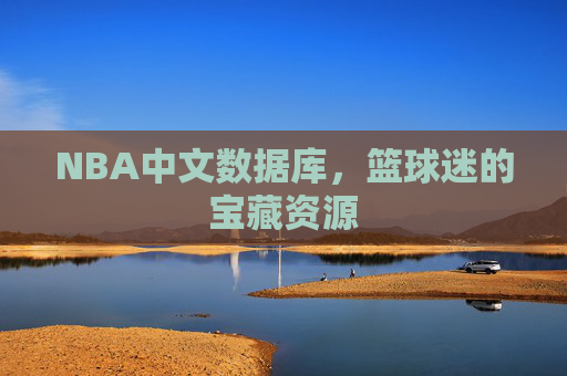 NBA中文数据库，篮球迷的宝藏资源