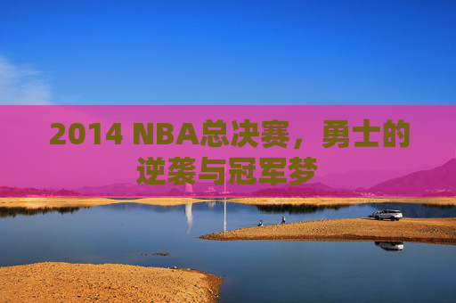 2014 NBA总决赛，勇士的逆袭与冠军梦