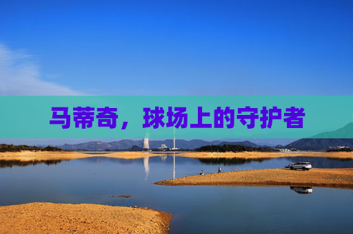 马蒂奇，球场上的守护者