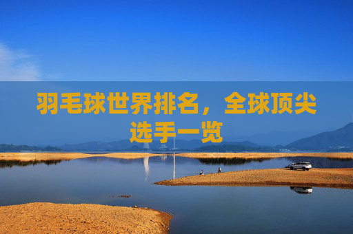 羽毛球世界排名，全球顶尖选手一览