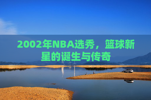 2002年NBA选秀，篮球新星的诞生与传奇