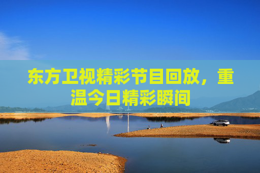 东方卫视精彩节目回放，重温今日精彩瞬间