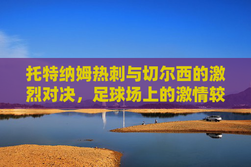 托特纳姆热刺与切尔西的激烈对决，足球场上的激情较量
