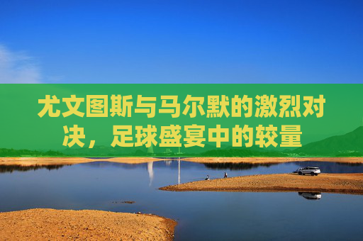 尤文图斯与马尔默的激烈对决，足球盛宴中的较量