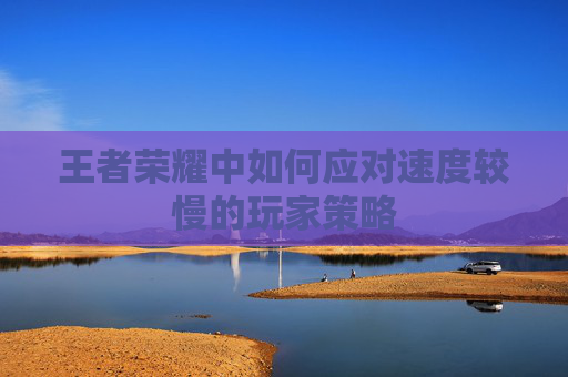 王者荣耀中如何应对速度较慢的玩家策略
