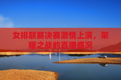 女排联赛决赛激情上演，荣耀之战的直播盛况