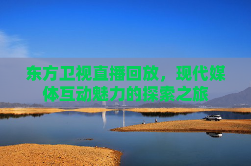 东方卫视直播回放，现代媒体互动魅力的探索之旅