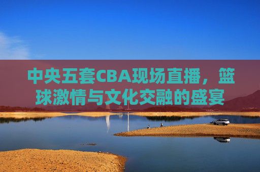 中央五套CBA现场直播，篮球激情与文化交融的盛宴