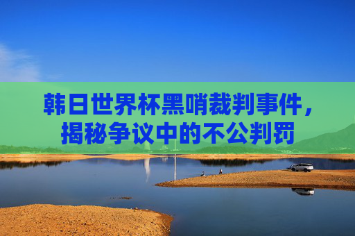 韩日世界杯黑哨裁判事件，揭秘争议中的不公判罚
