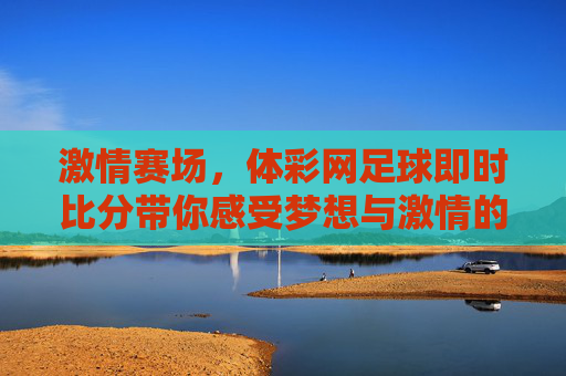 激情赛场，体彩网足球即时比分带你感受梦想与激情的碰撞