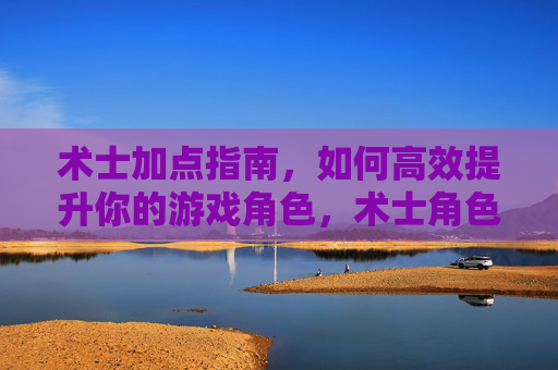 术士加点指南，如何高效提升你的游戏角色，术士角色加点全攻略，提升游戏效率的秘诀