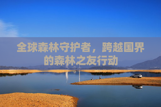 全球森林守护者，跨越国界的森林之友行动