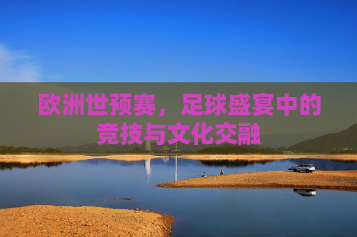 欧洲世预赛，足球盛宴中的竞技与文化交融
