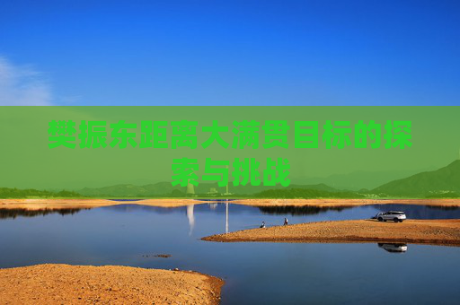 樊振东距离大满贯目标的探索与挑战