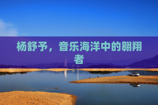 杨舒予，音乐海洋中的翱翔者