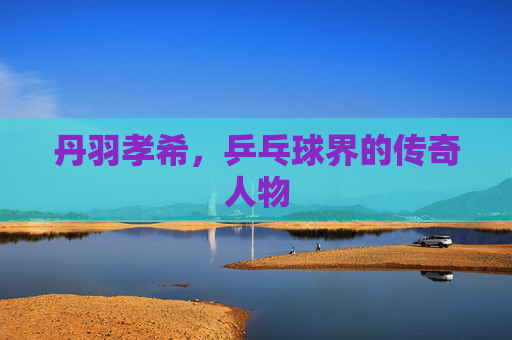 丹羽孝希，乒乓球界的传奇人物