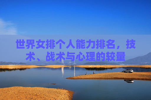世界女排个人能力排名，技术、战术与心理的较量
